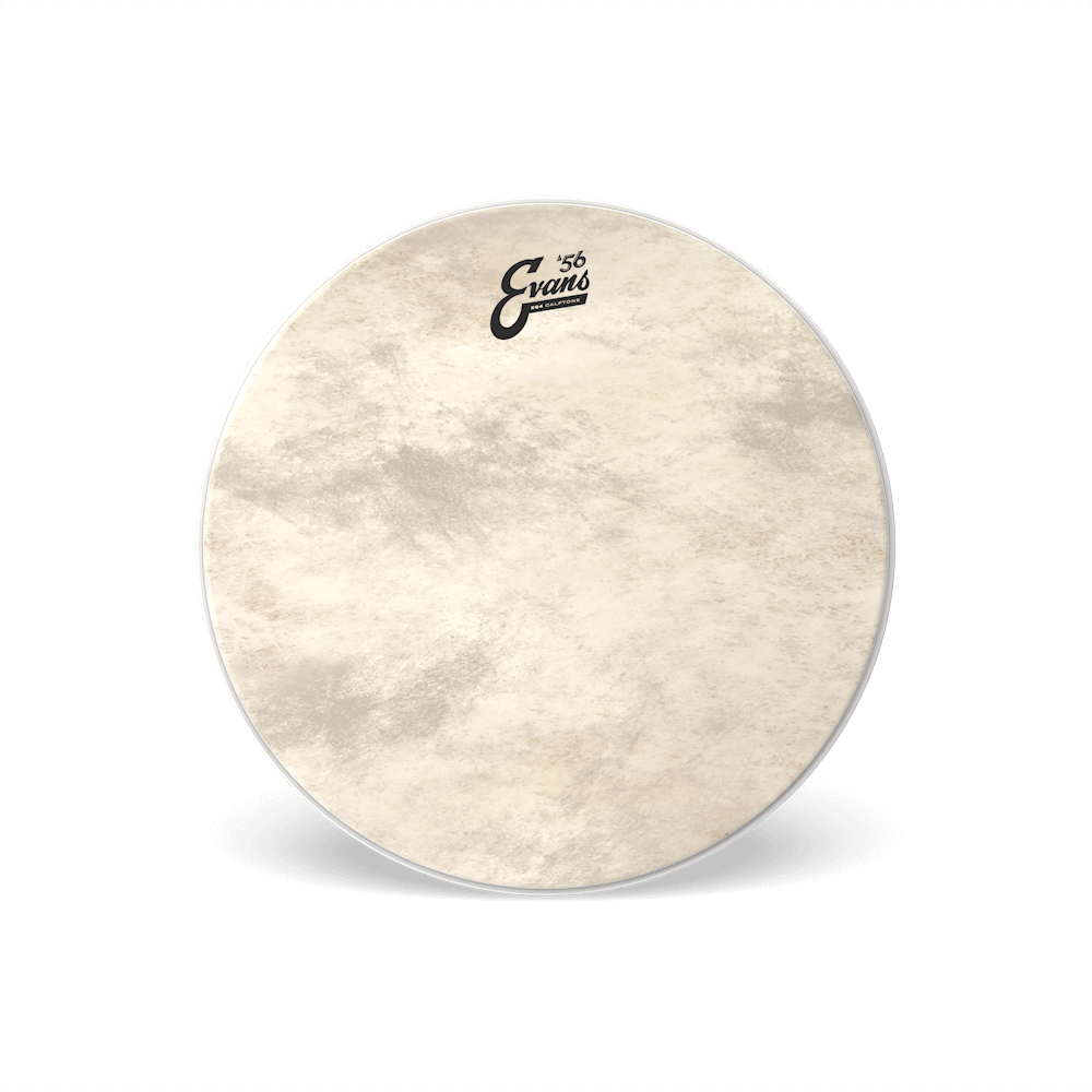 EVANS EQ4 CALFTONE BASS RESO