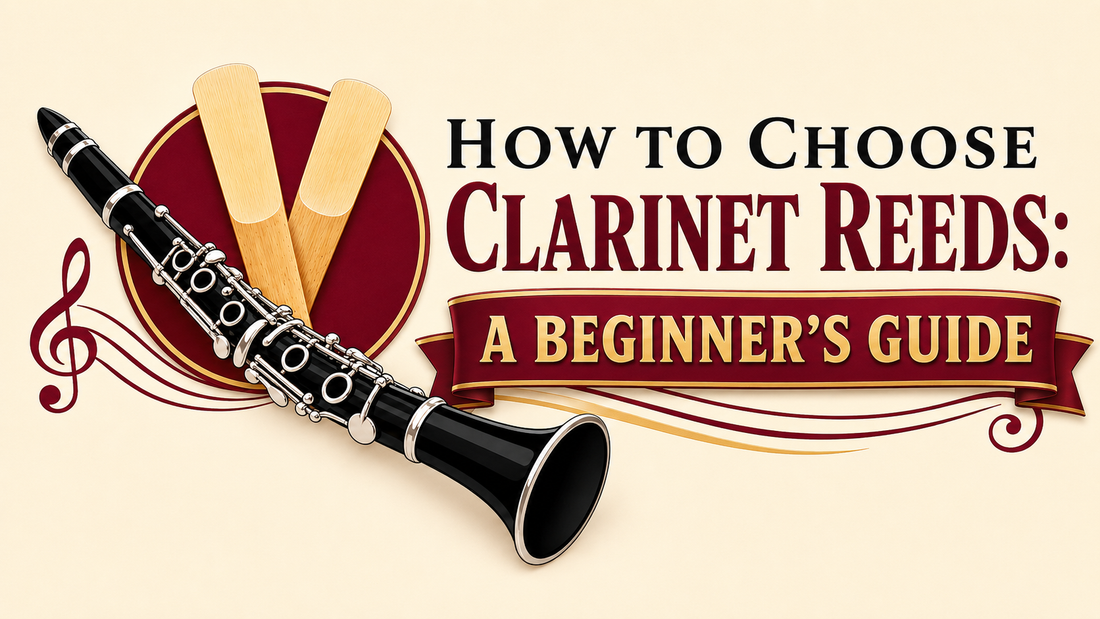 How to Choose Clarinet Reeds: A Beginner's Guide