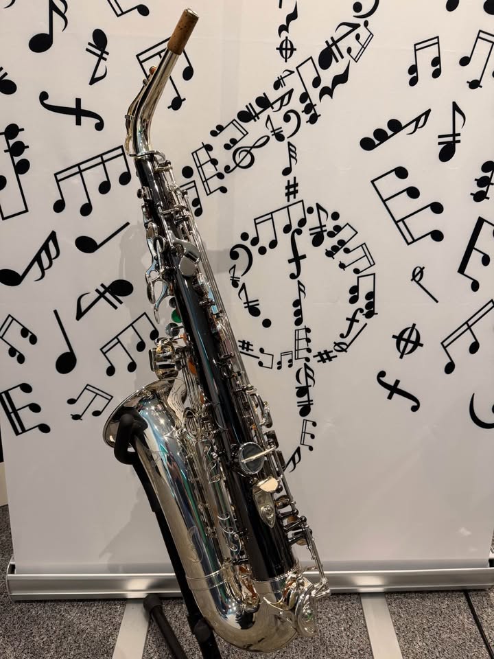 Temby Custom Alto Saxophone BLACK & SILVER (PHAROAH) Limited Edition