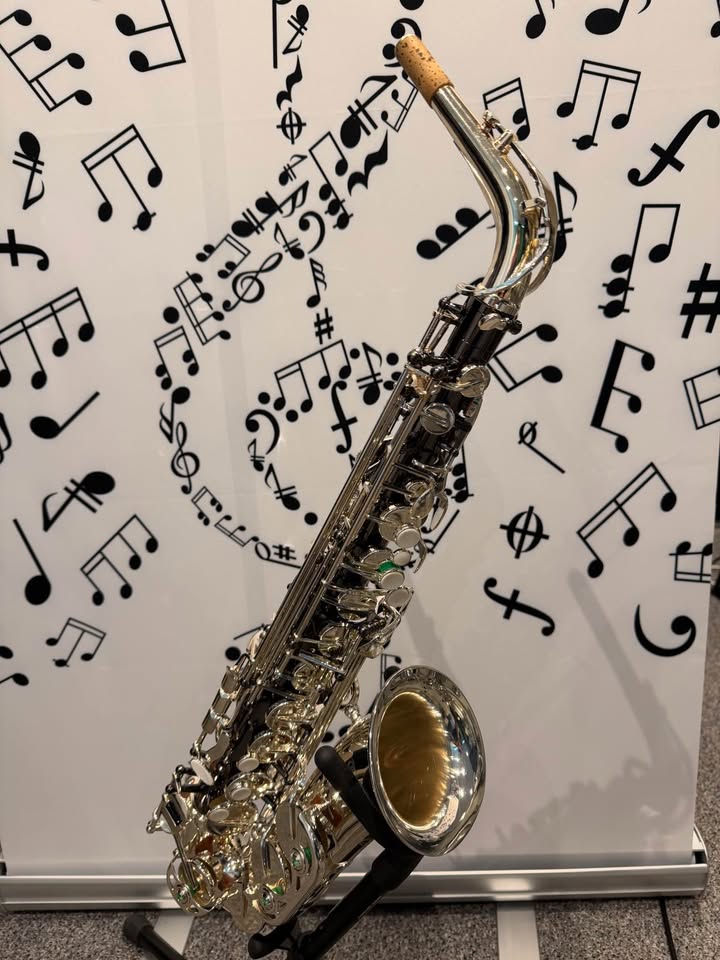 Temby Custom Alto Saxophone BLACK & SILVER (PHAROAH) Limited Edition