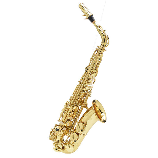 BUFFET ALTO SAX – 100 SERIES