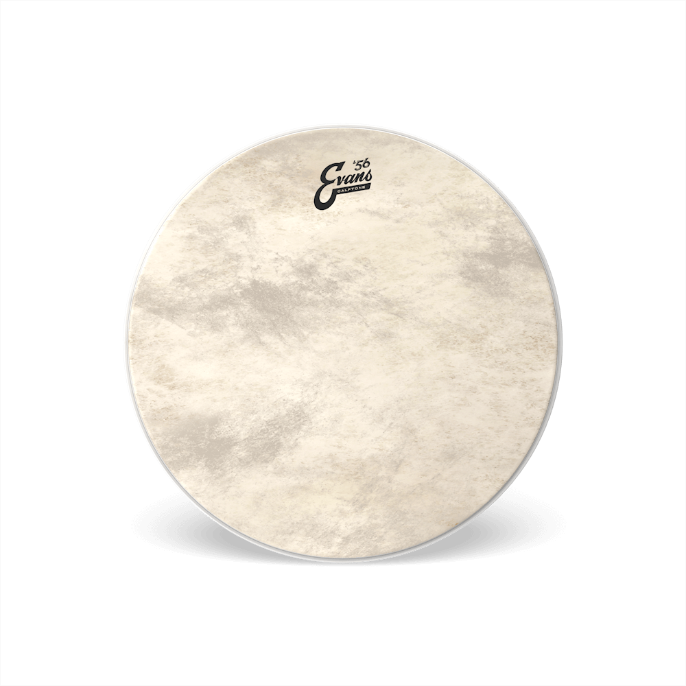 EVANS CALFTONE BASS RESO