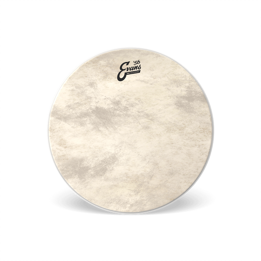EVANS EQ4 CALFTONE BASS RESO